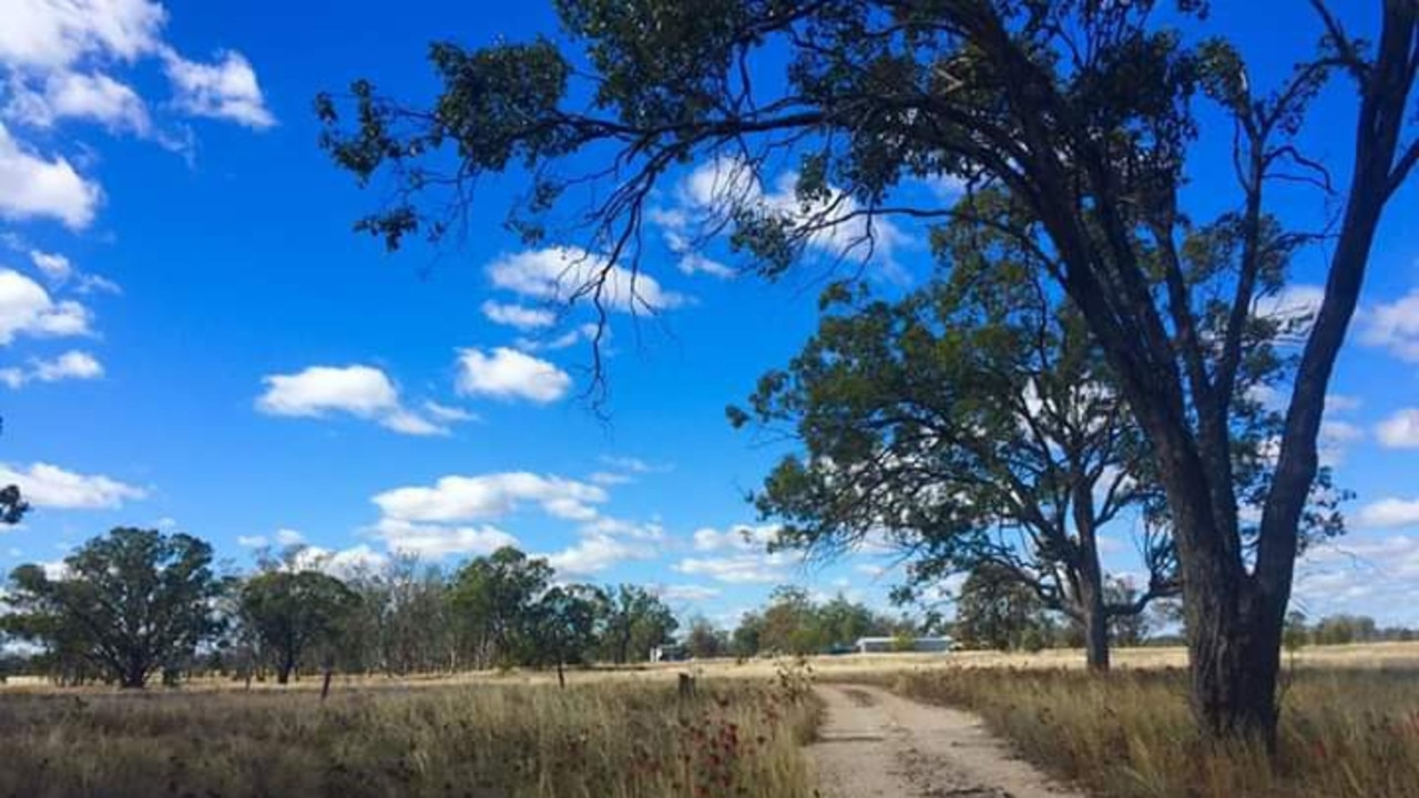 SOCIAL MEDIA IMAGE DISCUSS USE WITH YOUR EDITOR – After year of drought conditions, the pastures of Rewan are now covered in knee high grasses, bleached white from the recent frosts.