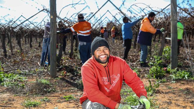 Mosese Malimal and other workers from Tonga and Vanuatu in Carnarvon. Picture: Colin Murty