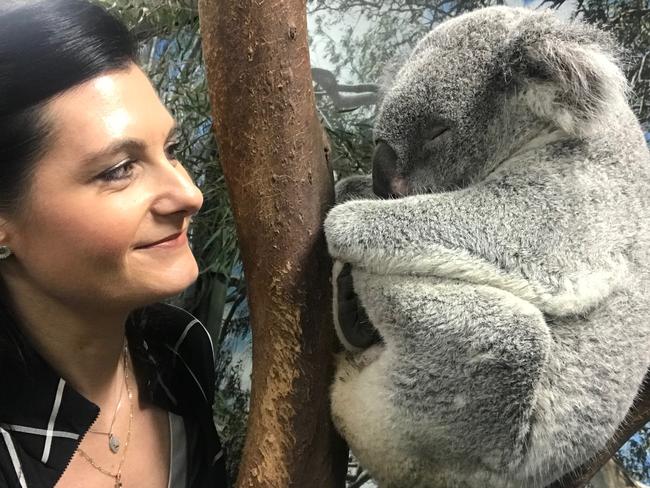 Professor Rebecca Johnson, meets a sleeping koala at Featherdale Wildlife Park in Sydney.