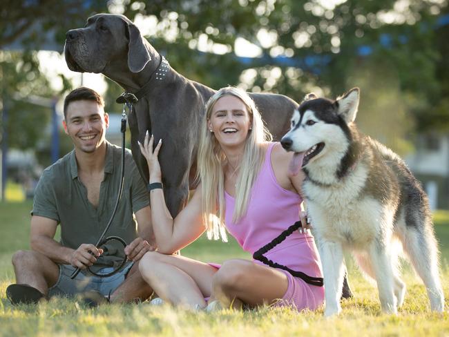 Shayna Jack and her partner Joel Rintala with their dogs great dane Hugo and husky Willa. Picture: David Kelly