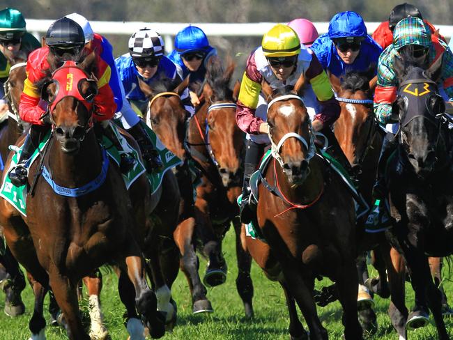 Loving home ridden by Tye Angland  (yellow cap, maroon with yellow armbands) wins race 1 during Scone  Races located in the Upper Hunter Region of NSW. The Bend . Pic Jenny Evans