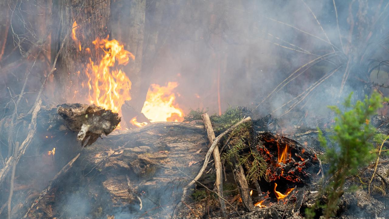 Fire tears through hectares of bushland at Snug Tiers. Photo: Tasmania Fire Service