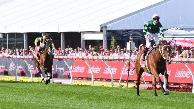 Via Sistina trounces her opponents in the Cox Plate on Saturday. Photo: Reg Ryan/Getty Images.