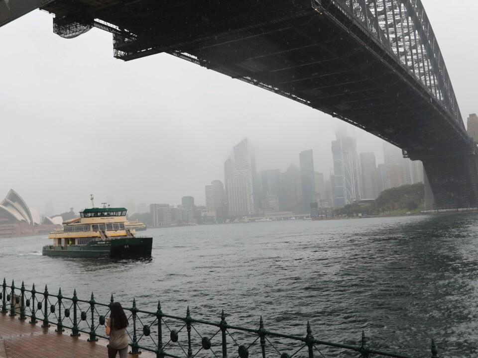 Flood warnings activated across Sydney