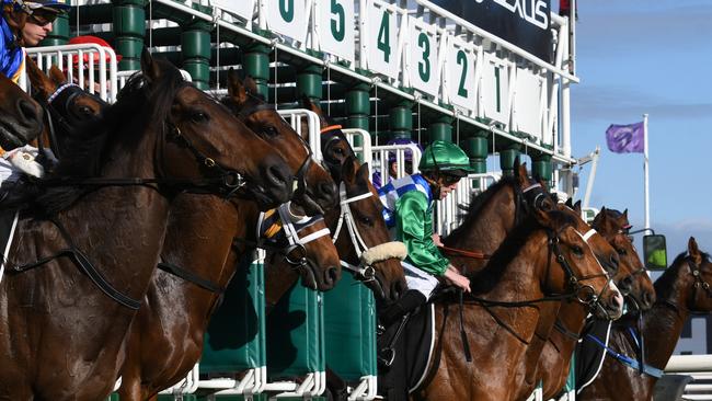 Horses racing at Flemington Racecourse in 2021. Picture: Vince Caligiuri/Getty Images