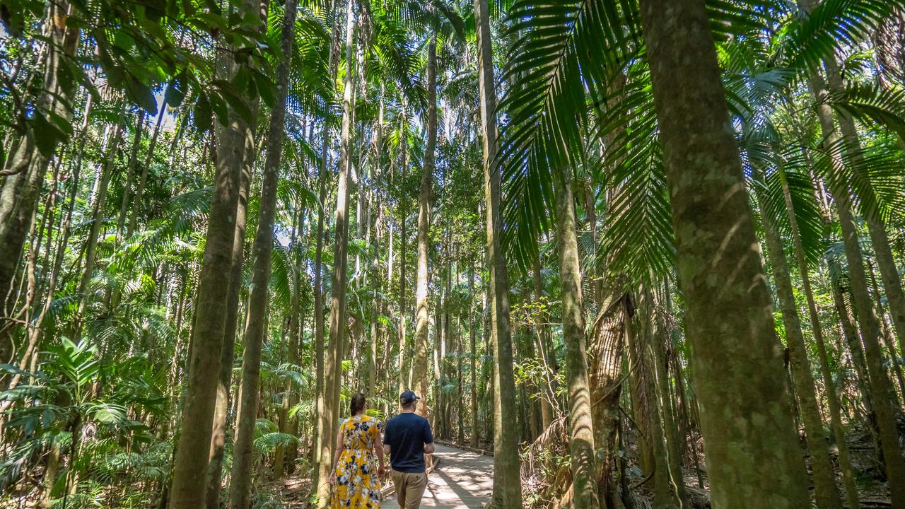 ESCAPE: Mary Cairncross Scenic Reserve. Picture: Tourism and Events Queensland.