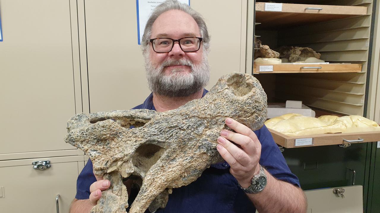 Baru Iylwenpeny Identified As A Prehistoric Crocodile Found In Central 