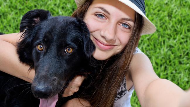 Do you have everything ready for your pet if you need to self-isolate or get sick. Picture: iStock