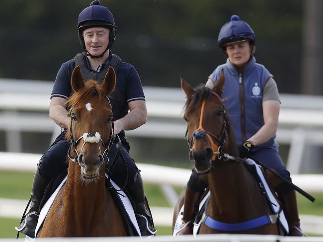 NCA. MELBOURNE, AUSTRALIA. October 14 , 2024. RACING.  Werribee track work . Willie Mullins pair Vauban ridden by Dean Gallagher and Absurde ridden by Emilie Siegle during this mornings work    .  Pic : Michael Klein