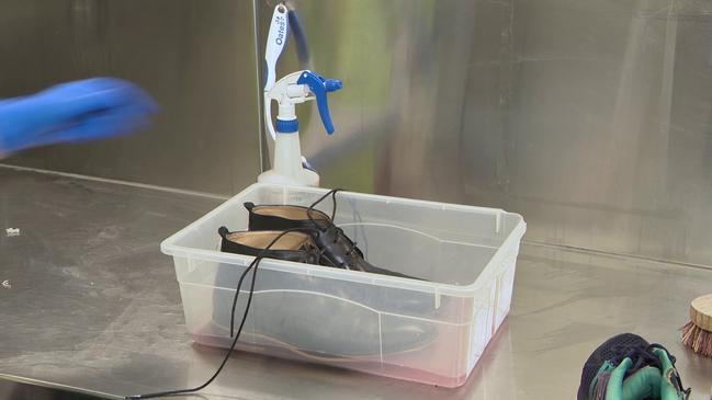 Shoes were washed individually. Picture: Department of Agriculture, Fisheries and Forestry