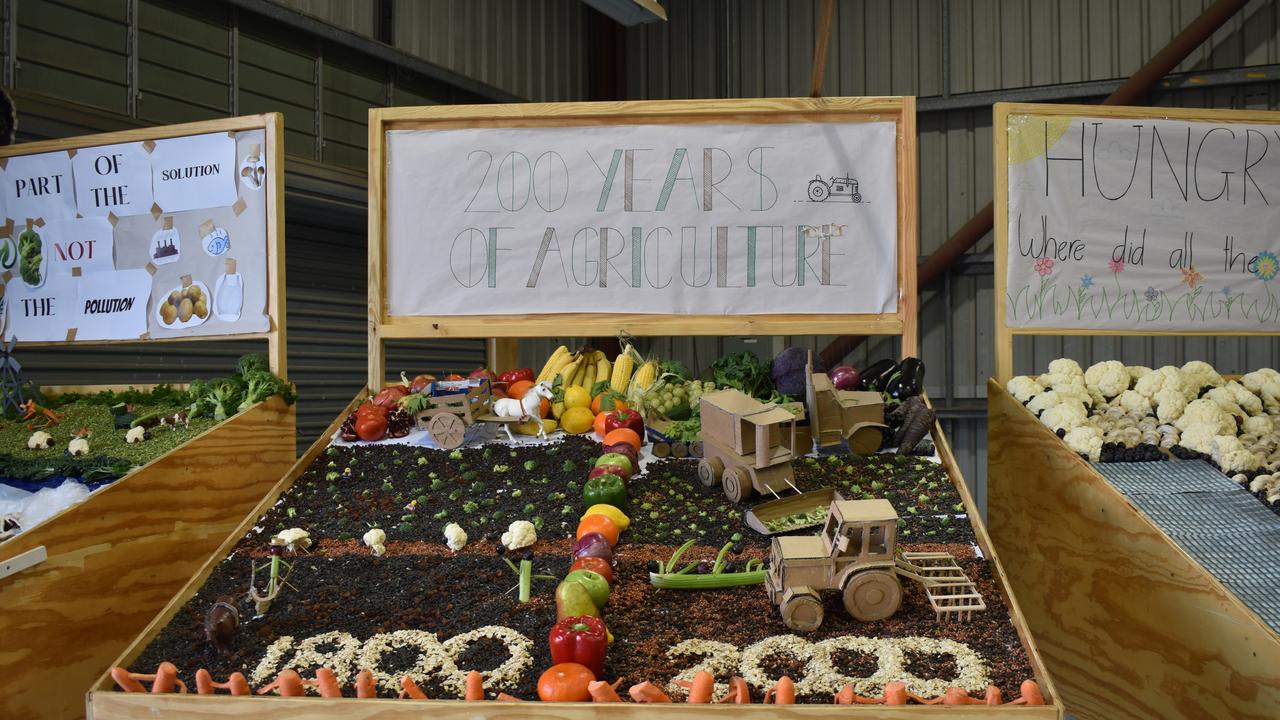 There was plenty to see at the Rockhampton Agricultural Show from woodchopping to vegetable displays and prized cakes.