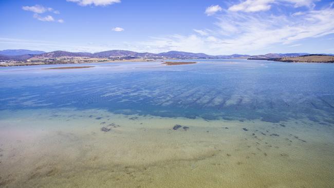 Barilla Bay Oyster Farm. . Picture: RICHARD JUPE