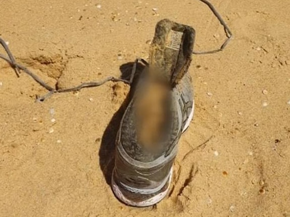 Melissa Caddick’s foot washed up on the South coast.