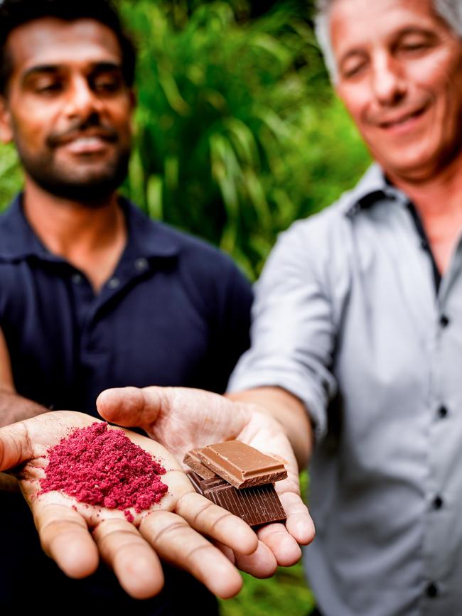 Native ingredients and Haigh’s new chocolate bar as showcased by Warndu’s Damien Coulthard and Haigh’s Ben Kolly. Picture: Mike Burton, taken at Adelaide Botanic Gardens.