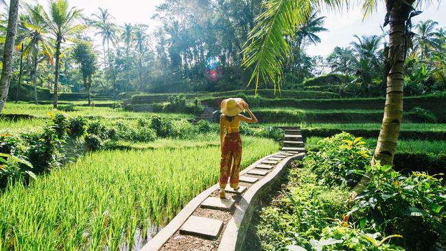 Bali offers better bang for buck following a drop in the Indonesian rupiah.