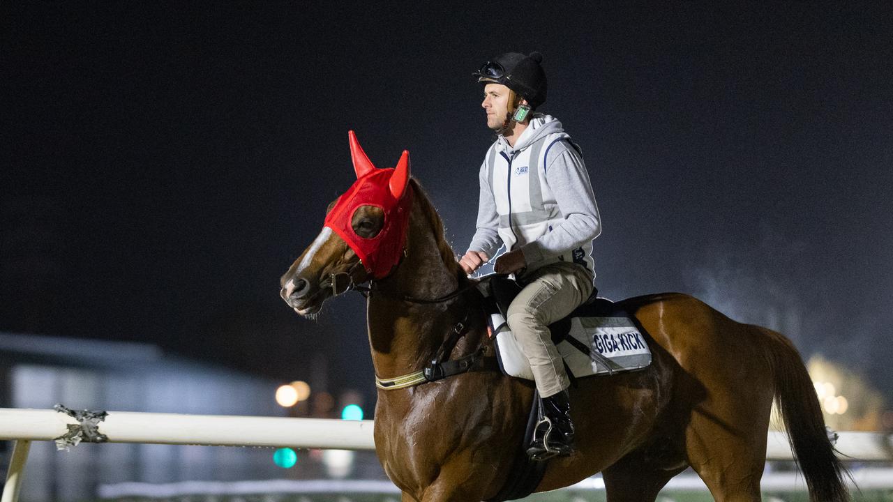 Giga Kick, ridden by Douglas, at trackwork at Morphettville on Thursday . Picture: Racing SA
