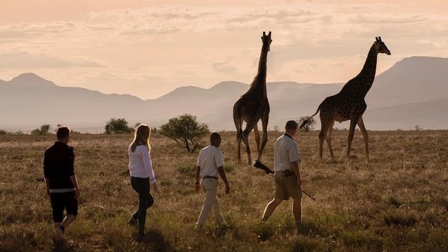 On a walking safari in the reserve.