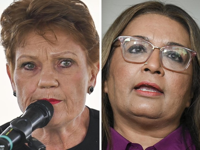 Five words key to Pauline Hanson lawsuit