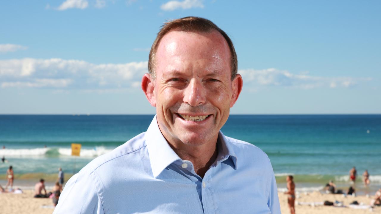 Tony Abbott to work across shores to drum up deals for Britain.