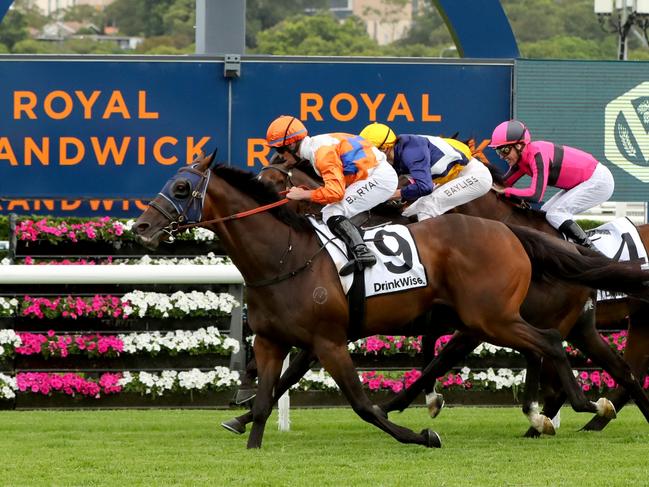 SYDNEY, AUSTRALIA - JANUARY 21: Brock Ryan riding Cuban Royale wins Race 6 Drinkwise Carrington Stakes during Sydney Racing at Royal Randwick Racecourse on January 21, 2023 in Sydney, Australia. (Photo by Jeremy Ng/Getty Images)