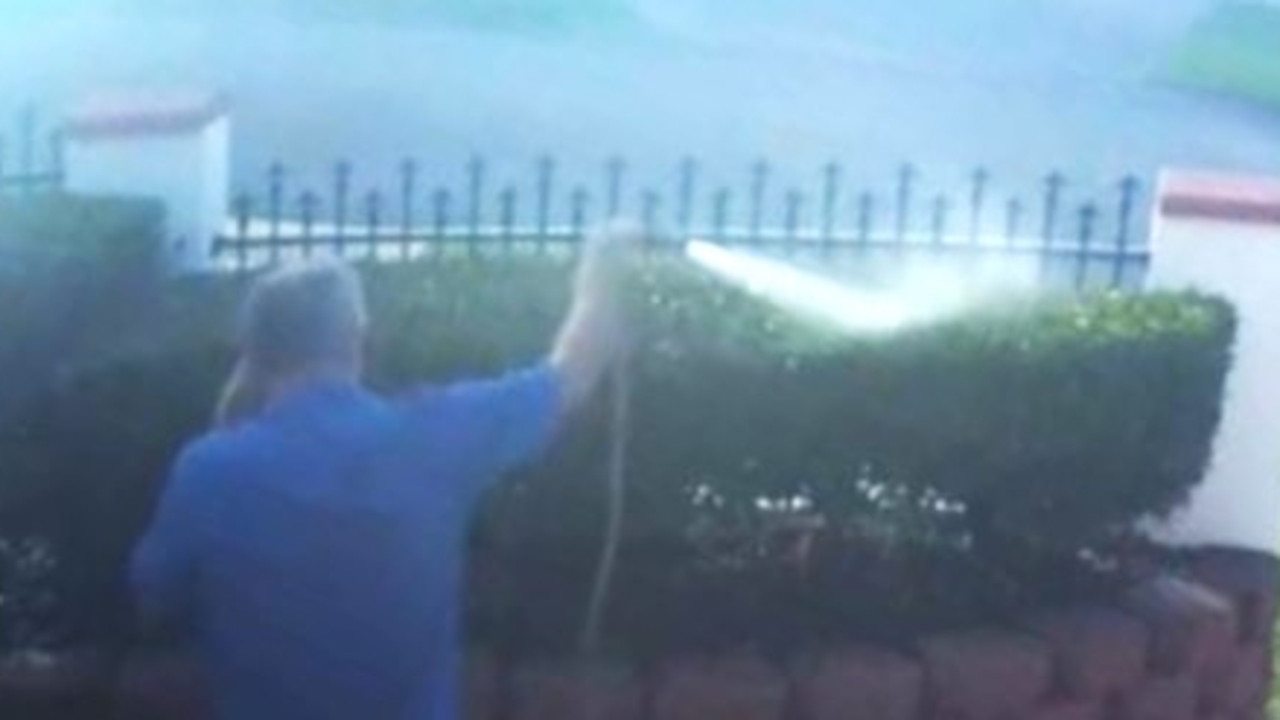 CCTV shows the masked teens creeping into the Minaret Way yard in Mount Louisa before the homeowner watering his plants catches them in the act and on May 5.