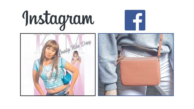 Ads for Kath &amp; Kim T-shirts and vegan handbags that appeared on Adelaide Bracey’s social media feeds.