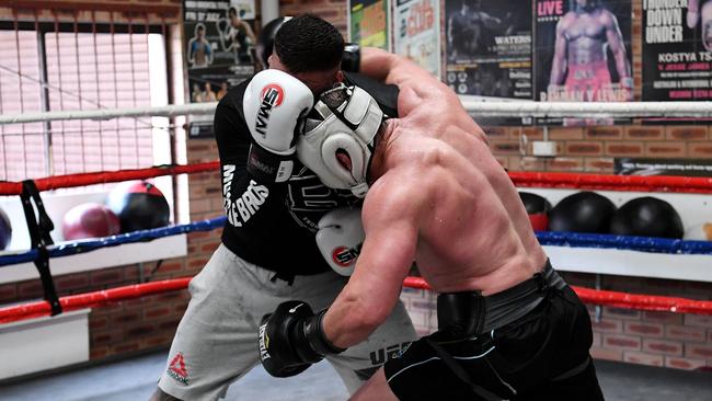 Paul Gallen sparring with Tai Tuivasa in preparation for his upcoming fight. Picture: Grant Trouville