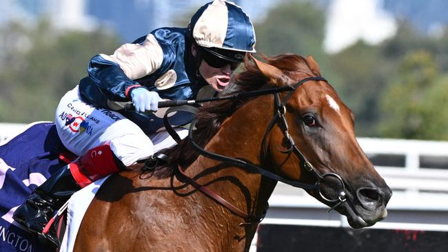 Jimmysstar and jockey Craig Williams during their controversial outing at Flemington last Saturday. Picture: Getty Images