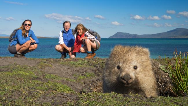 The Maria Island Walk won gold in the Tour and Transport Operators section.