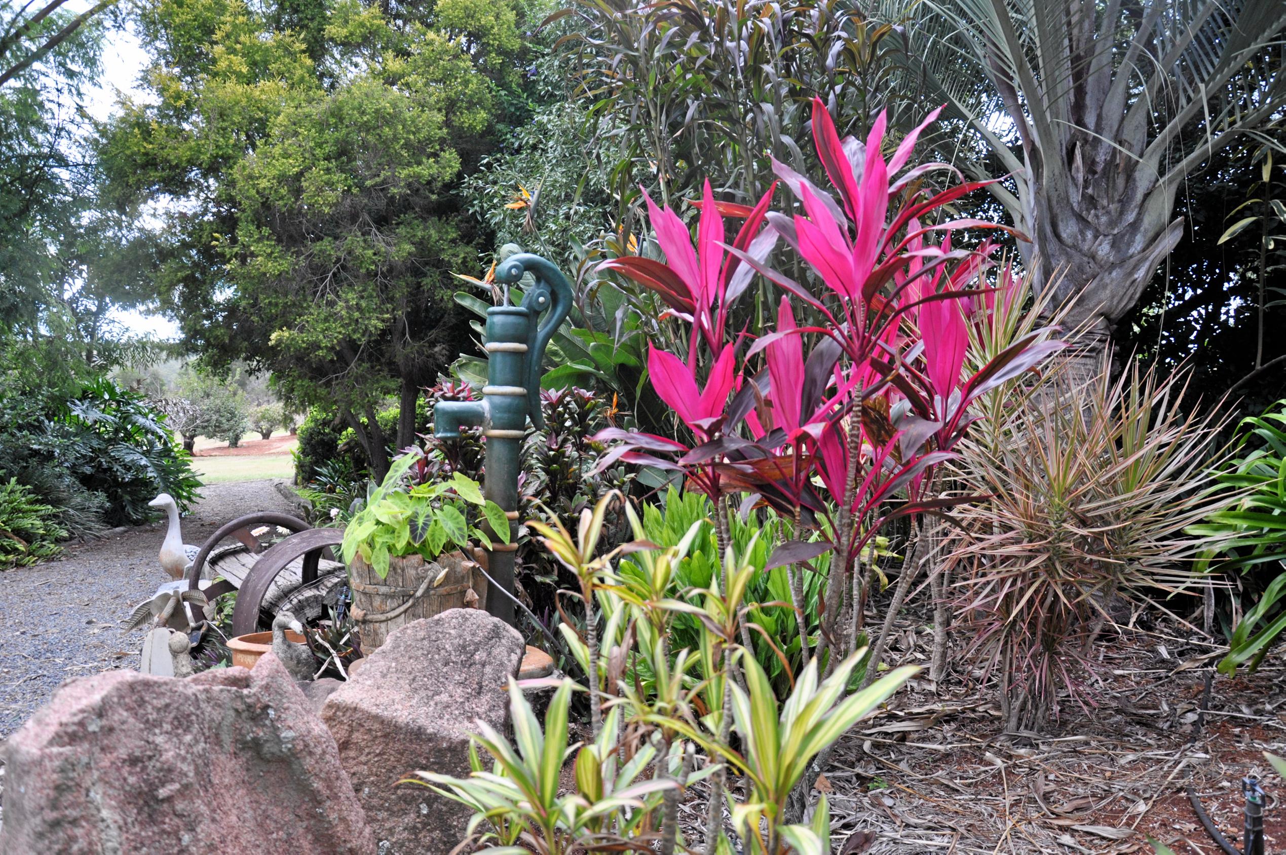 Monto Garden Club visits Roy and Bev Marbach's property. Picture: Mackenzie Colahan