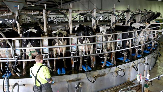Farmers will need a premium of about 9 cents a litre to offset the cost of cutting their herds’ greenhouse gas emissions.