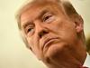 Trump family impersonator busted