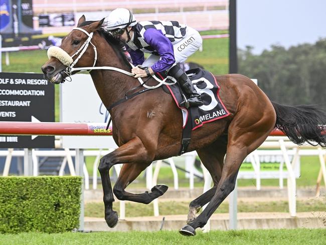 Existential Bob, pictured winning at Wyong on May 8, is Ray Thomas's top tip for Saturday's Queensland Derby. Picture: Bradley Photos