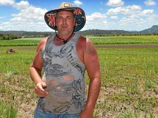 ONGOING ISSUE: Bevan McMartin is having a battle with Sunshine Coast Council over plans for his farmland. Picture: Warren Lynam