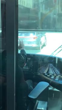 QLD driver performs hated Sydney act