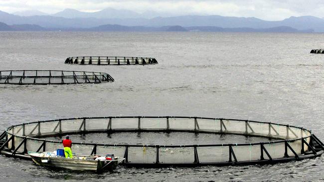 Strahan Gordon River cruise. fish farms. Tasmania