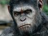 Caesar the ape in a scene from film Dawn of the Planet of the Apes. July 2014.