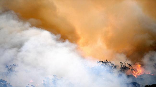 Qld Parks and Wildlife will start a planned burn in King Conservation Park on Wednesday, April 28. (Photo by SAEED KHAN / AFP)