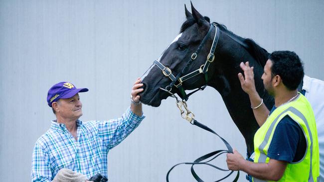 Ace High trainer David Payne says the internationals are weighted too lightly. Picture: Mark Stewart