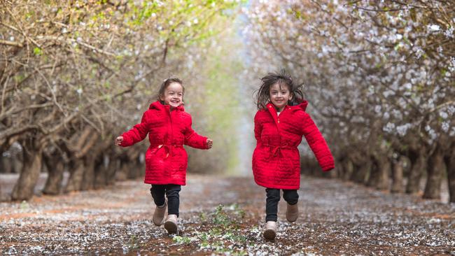 Mildura twins Isabella and Alessandra, 3, have a spring in their step. Picture: Jason Edwards