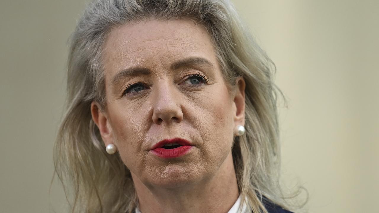 Bridget McKenzie called the saga an ‘absolute disgrace’. Picture: NCA NewsWire / Martin Ollman