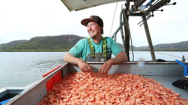 ‘Toughest year for 10 years’ ... Paul Aquilina with his catch of river prawns on his trawler at Spencer on the Hawkesbury River in NSW. Picture: John Feder/The Australian