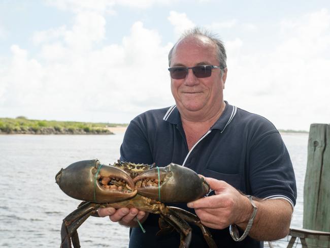 David Caracciolo at Mackay Fish Market on Thursday 18 January 2024 Picture:Michaela Harlow