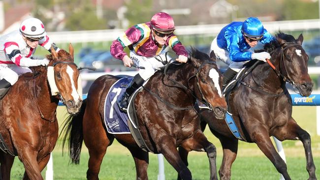 Gentleman Roy (centre) holds off Pinstriped (left) and Pericles to win the Group 2 PB Lawrence Stakes at Caulfield on Saturday. Picture: Scott Barbour/Racing Photos via Getty Images