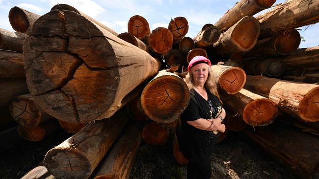 J Notaras and Sons timber mill general manager Donna Layton is anxious about the dwindling supplies at the mill in Grafton, northern NSW. Picture: Lyndon Mechielsen/The Australian