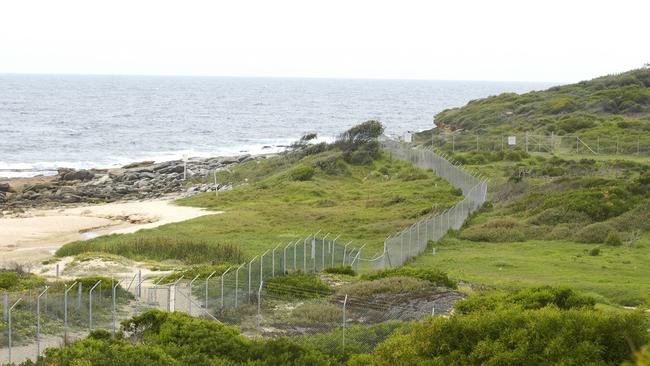 The headland is home to some of the last remaining eastern suburbs banksia scrub. Photo: Paul McMillan