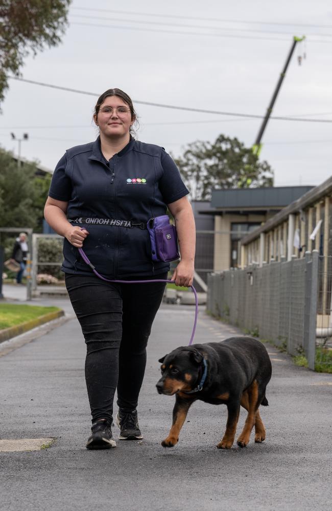 A GAWS spokeswoman said financial pressures were one of the most common reasons people handed over pets. Picture: Brad Fleet