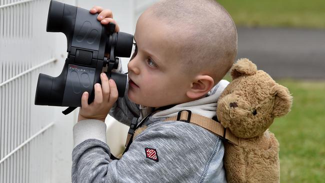 Ayden Flannery (4, from Woodend) watching the talent. Picture Jay Town.