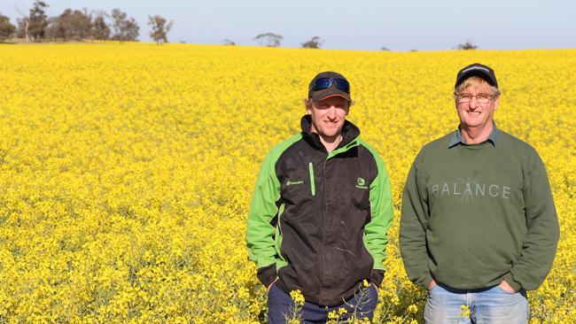 Berriwillock farmers Anthony and Garry Bibby in their canola