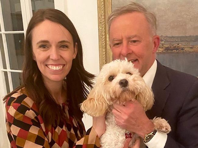 Australian PM, Anthony Albanese,  with Toto and New Zealand PM, Jacinda Ardern. Picture: instagram https://www.instagram.com/albomp/?hl=en